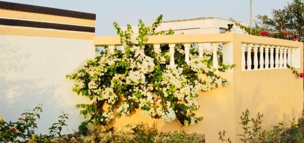 Royal Meadows - Igatpuri Bungalow C Екстер'єр фото